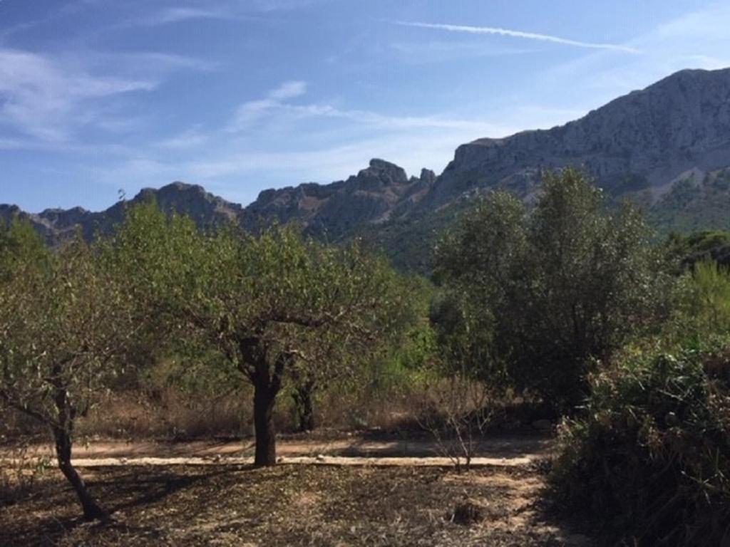 One Bed Apartment Overlooking Jalon Valley, Costa Blanca Alcalalí Buitenkant foto