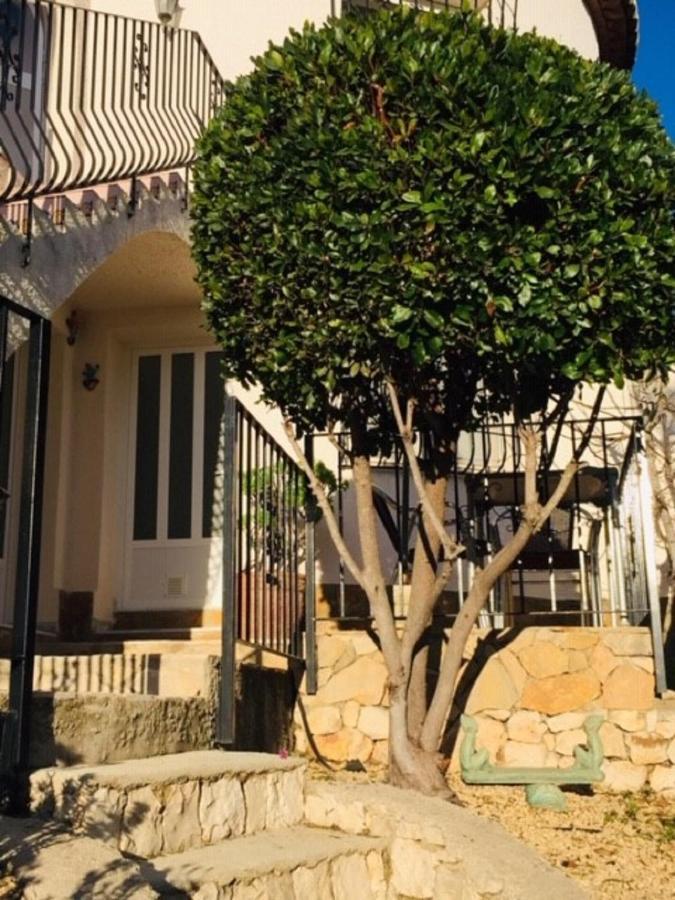 One Bed Apartment Overlooking Jalon Valley, Costa Blanca Alcalalí Buitenkant foto
