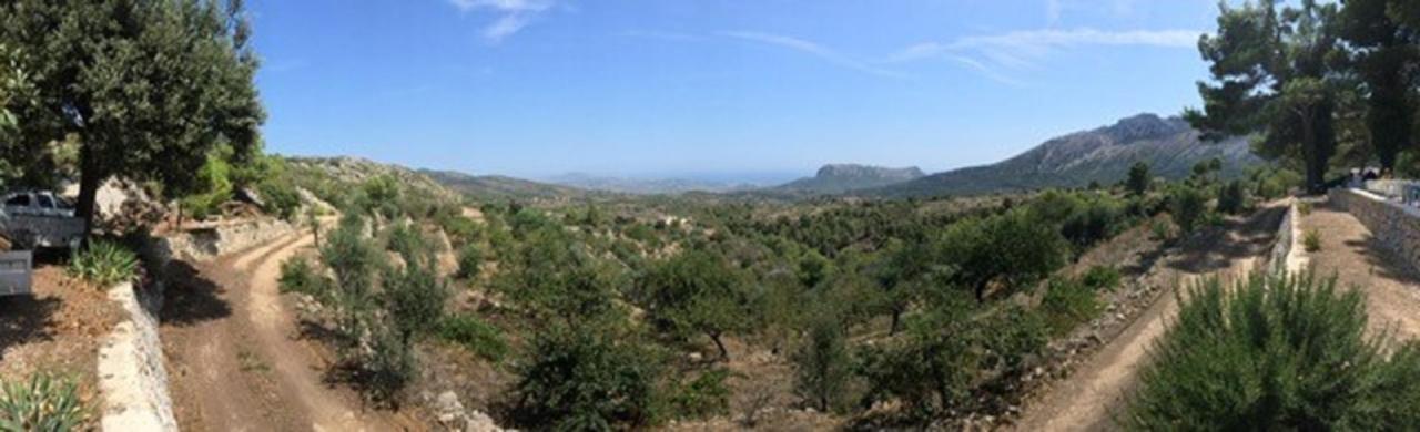 One Bed Apartment Overlooking Jalon Valley, Costa Blanca Alcalalí Buitenkant foto