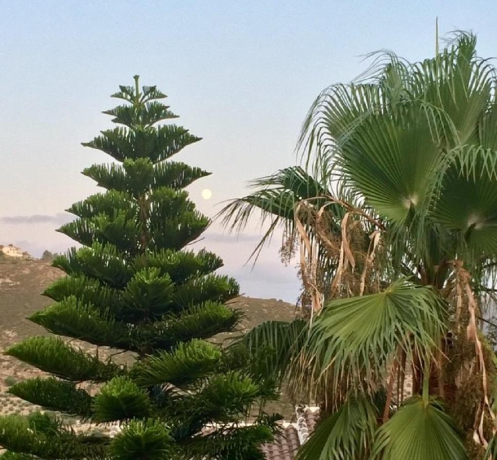 One Bed Apartment Overlooking Jalon Valley, Costa Blanca Alcalalí Buitenkant foto
